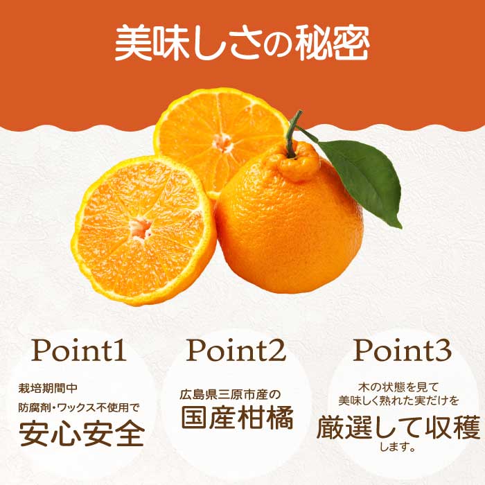 広島県三原市の画像3