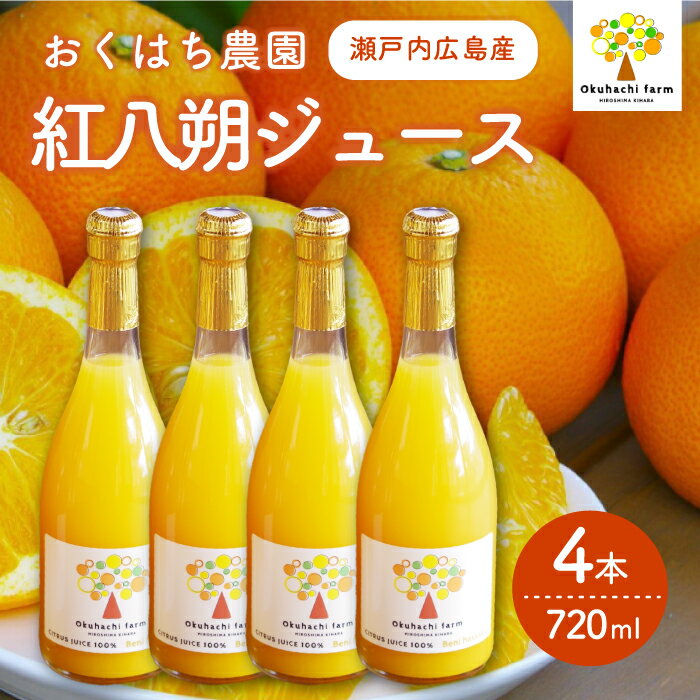 【ふるさと納税】【おくはち農園】紅八朔（べにはっさく）ジュース（720ml × 4本）《2026年5月～発送...