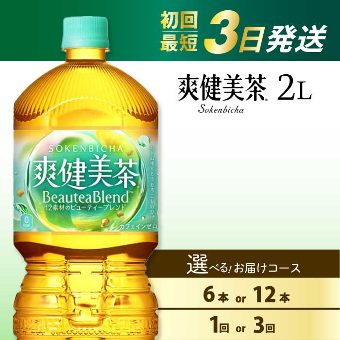 【ふるさと納税】【選べる本数・お届け回数】爽健美茶 PET 