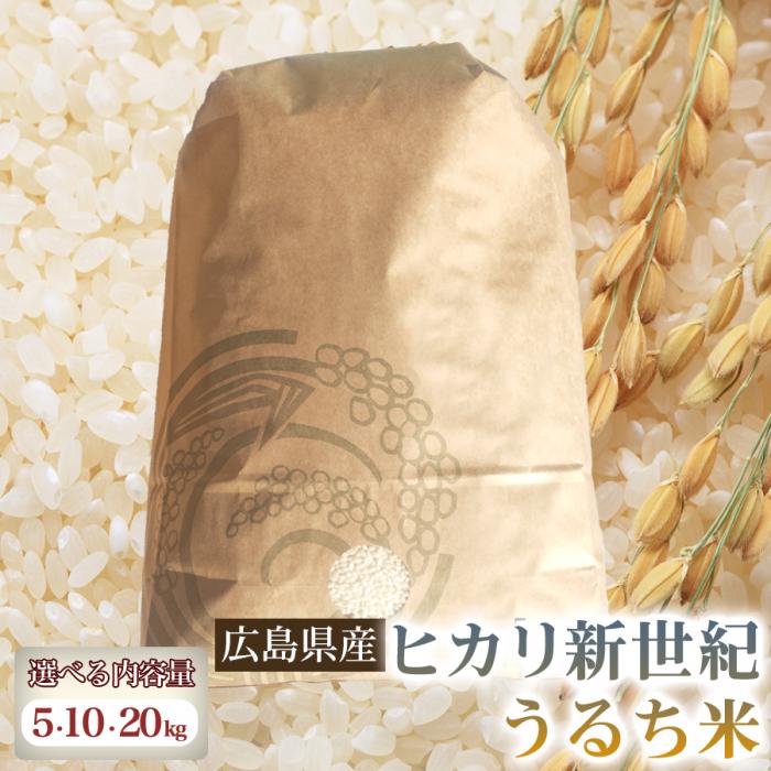 Rakuten - 【ふるさと納税】ヒカリ新世紀（うるち米）【選べる容量】5・10・20kg 米 お米 コメ ご飯 ごはん 238007-r