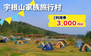 【ふるさと納税】宇根山家族旅行村(キャンプ場) 宇根山天文台 ご利用券 3,000円分 キャンプ 宿泊 バーベキュー 星空 広島県三原市131001