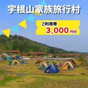 【ふるさと納税】宇根山家族旅行村(キャンプ場) 宇根山天文台 ご利用券 3,000円分 キャンプ 宿泊 バーベキュー 星空 広島県三原市131001