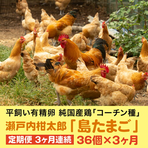 【ふるさと納税】【3か月定期便】島たまご34個(破卵保障+2個)《有精卵》合計108個 平飼い 新鮮 卵 玉子 瀬戸内柑太郎 純国産鶏 産地直送 コーチン 017033 【ふるさと納税】【3か月定期便】島たまご34個(破卵保障+2個)《有精卵》合計108個 平飼い 新鮮 卵 玉子 瀬戸内柑太郎 純国産鶏 産地直送 コーチン 017033