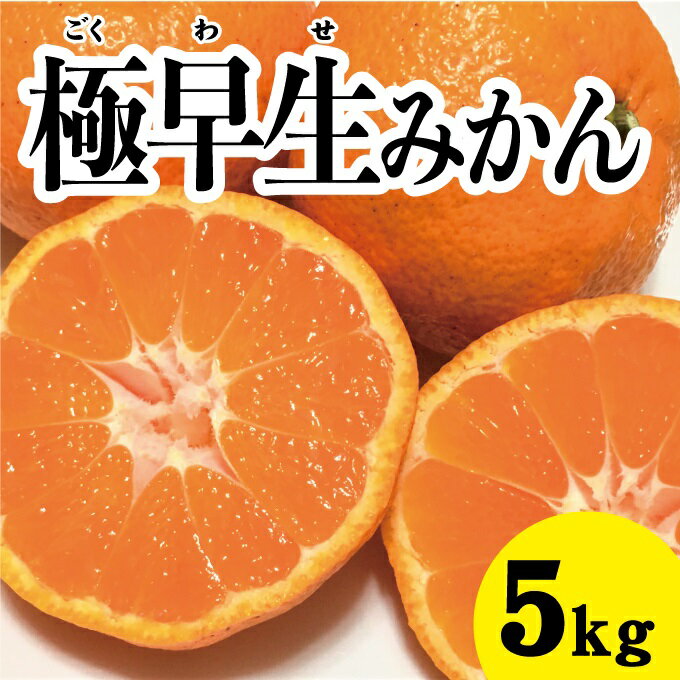 【ふるさと納税】【先行予約】極早生温州みかん約5kg【2024年10月中旬以降発送】佐木島 鷺島みかんじま フルーツ 蜜柑 柑橘 果物 みかん ミカン 産地直送 017012のサムネイル