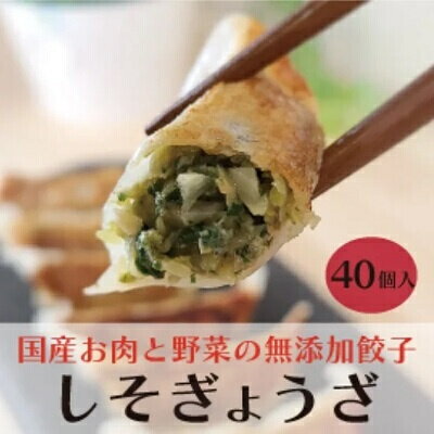【ふるさと納税】paoの無添加餃子「しそぎょうざ」520g(約40個) 餃子 ギョーザ 惣菜 冷凍 中華 点心 おかず おつまみ 国産野菜 しそ風味 058005のサムネイル