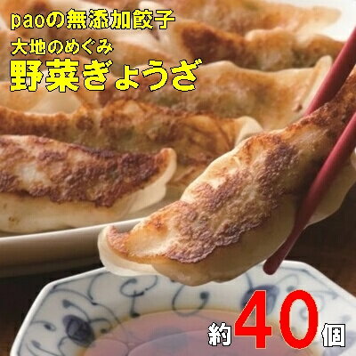 【ふるさと納税】餃子 paoの無添加餃子 40個入り 大地のめぐみ やさいぎょうざ 無添加 化学調味料不使用 食品添加物不使用 中華 点心 惣菜 おかず 冷凍 ぎょうざ　【 広島県三原市 】のサムネイル