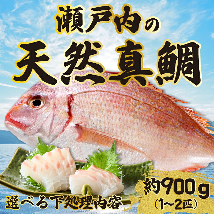道の駅 天然鯛 約900g〜1kg(1匹〜2匹) 鱗・内臓処理 三枚おろし・真空パック 選べる下処理 新鮮 国産 季節 地魚 天然 鮮魚タイ たい 瀬戸内 広島県 三原市 030007-r