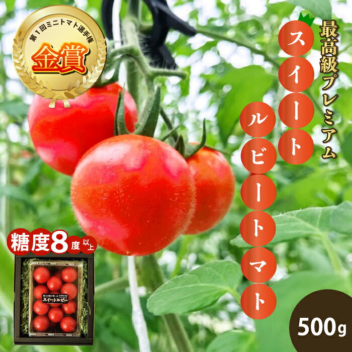 【ふるさと納税】トマト【先行受付】 広島県産 スイートルビートマト 500g 2026年12月中旬以降発送 野菜 やさい 食品 ミニトマト とまと 金賞受賞 三原市 甘い 032002