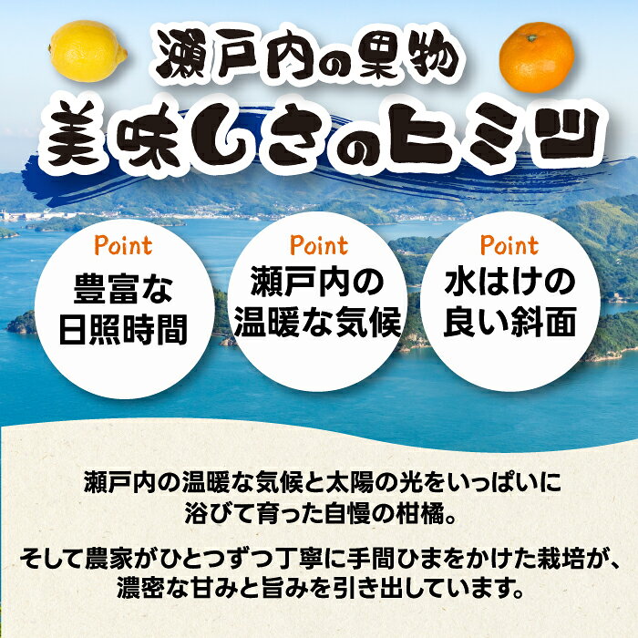 【ふるさと納税】グリーンレモン 1kg/3kg/5kg 訳あり 選べる容量《栽培期間中：防腐剤・ワックス不使用》2026年10月発送予定 檸檬 柑橘 果物 くだもの フルーツ 瀬戸内 251001-r f342041-mihara-10001829 広島県三原市 サンプル画像2
