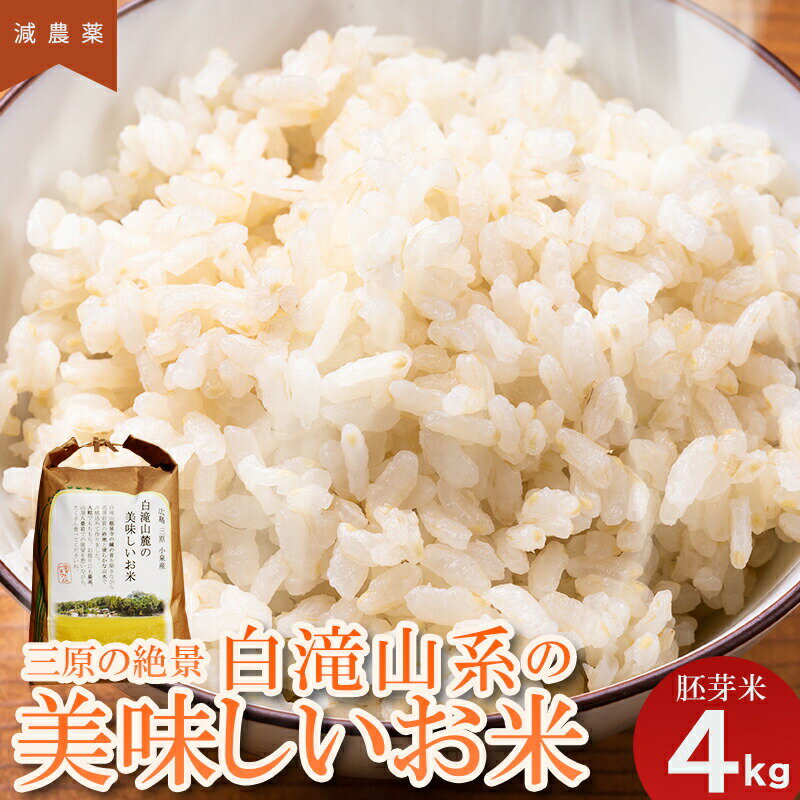 ≪減農薬≫三原の絶景白滝山系の美味しいお米4kg（胚芽米） 広島 瀬戸内ビオファーム 栽培期間中減農薬栽培　【お米 4kg 米】　お届け：2021年10月中旬ごろ～