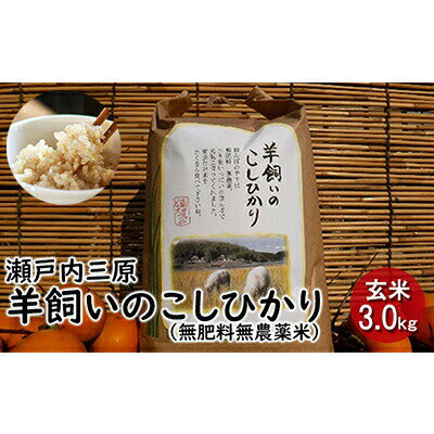 瀬戸内三原 羊飼いのこしひかり（無肥料無農薬米）玄米3kg 広島 瀬戸内ビオファーム　【お米 コシヒカリ こしひかり 玄米】