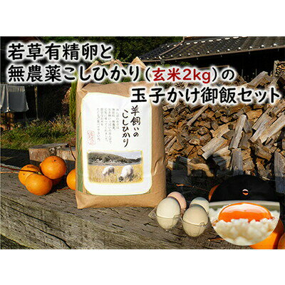 【ふるさと納税】若草有精卵と無農薬こしひかり（玄米2kg）の玉子かけ御飯セット 広島 三原 瀬戸内ビオファーム　【お米・コシヒカリ・..