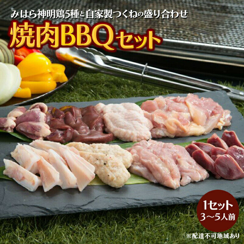 鮮度抜群でレア部位も含む6種入り、鶏肉専門店の「焼肉BBQセット（みはら神明鶏）」 広島 三原 鳥徳　【肉の加工品 お肉 鶏肉 肉の加工品 焼肉セット】