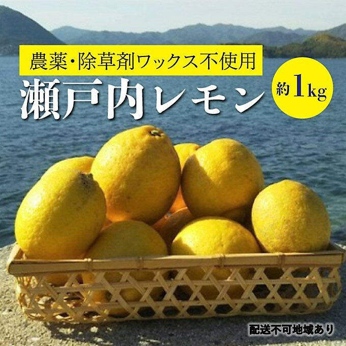 【ふるさと納税】レモン 【栽培期間中 農薬・除草剤不使用】離島 佐木島！旬のレモン 約1kg ≪ 川原ファーム ≫ 広島 三原 佐木島 鷺島みかんじま　【 広島県三原市 】　お届け：2023年11月1日～2024年3月31日