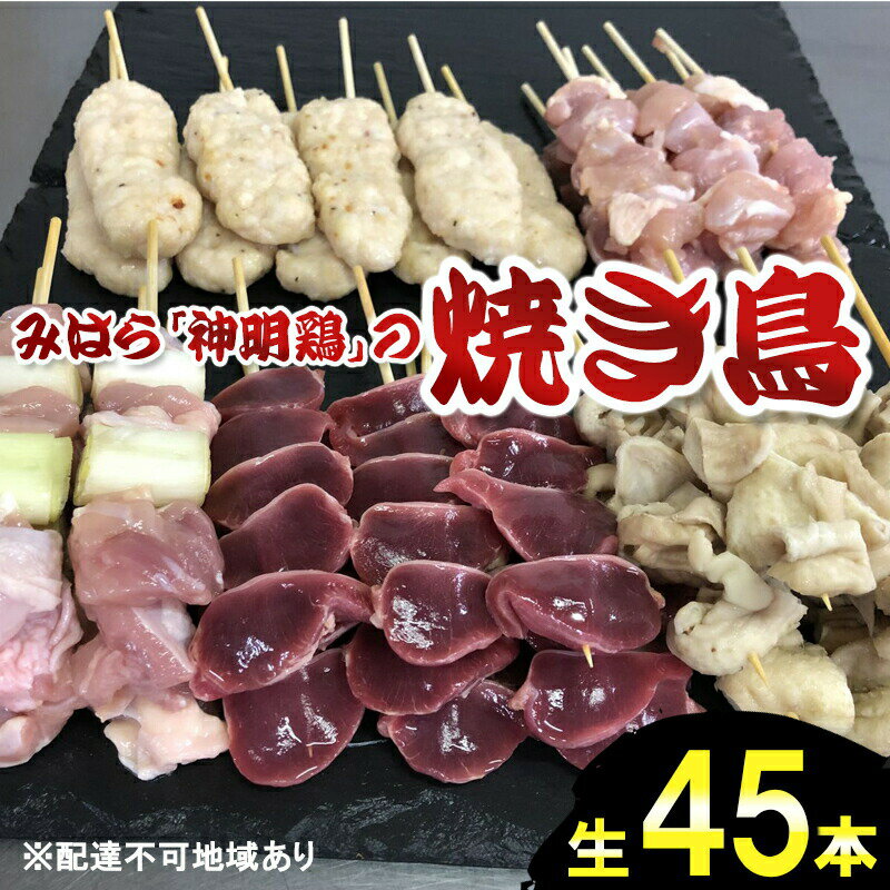 【ふるさと納税】鶏肉専門店の秘伝のタレとレモスコで食べる、「みはら神明鶏」の焼き鳥45本入（生）【配達不可：離島】 広島 三原 鳥徳　【焼き鳥 みはら神明鶏 焼き鳥 ヤキトリ 甘辛の醤油ダレ】のサムネイル
