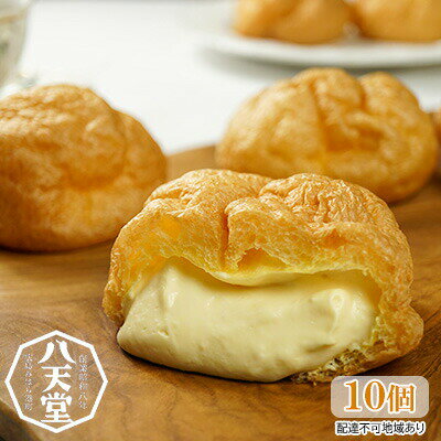 【ふるさと納税】八天堂 シュークリーム ザ クラッシック（カスタード）10個　【 お菓子 焼き菓子 スイーツ おやつ 間食 デザート 別腹 しっとり やわらかい シュー生地 くりーむ たっぷり 】のサムネイル