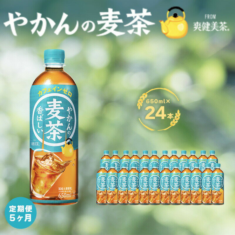 【ふるさと納税】麦茶 定期便 5ヶ月 やかんの麦茶 from 爽健美茶 650ml 24本 セット ペットボトル 広島 三原 コカ・コーラボトラーズ 飲料 お茶 ノンカフェイン お楽しみ 5回　【定期便・ 三原市 】