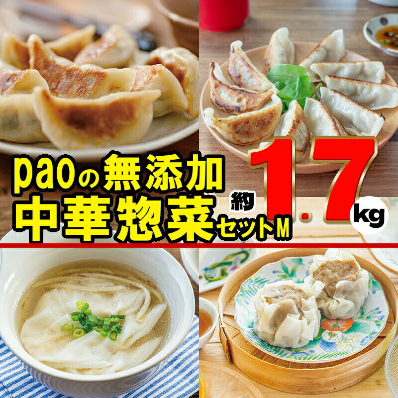 【ふるさと納税】paoの無添加中華惣菜セット M 【 お惣菜 中華料理 詰め合わせ ぎょうざ 野菜ぎょうざ 焼売 ワンタン 夕飯 一品料理 おかず ささゆりポーク 有機玉ねぎ 】