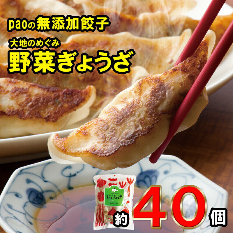 【ふるさと納税】餃子 paoの無添加餃子 40個入り 大地のめぐみ やさいぎょうざ 無添加 化学調味料不使用 食品添加物不使用 中華 点心 惣菜 おかず 冷凍 ぎょうざ 【 広島県三原市 】