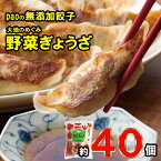 【ふるさと納税】餃子 paoの無添加餃子 40個入り 大地のめぐみ やさいぎょうざ 無添加 化学調味料不使用 食品添加物不使用 中華 点心 惣菜 おかず 冷凍 ぎょうざ　【 広島県三原市 】