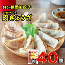 【ふるさと納税】paoの無添加餃子 大地のちから 肉ぎょうざ 【 惣菜 冷凍 中華 点心 おかず おつまみ さっぱり ささゆりポーク 香味野菜 国産野菜 旨味 】