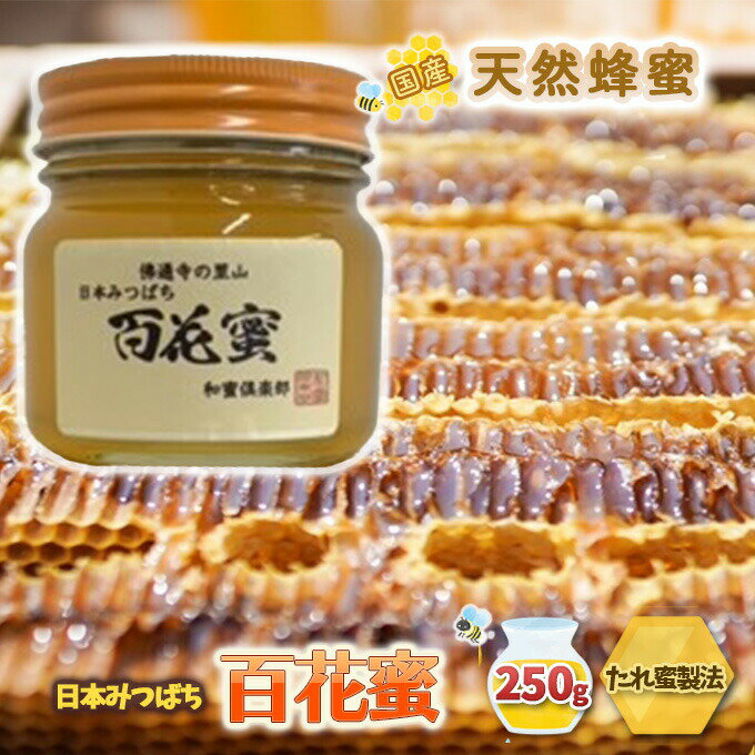 【ふるさと納税】【 国産 天然蜂蜜 】 はちみつ 日本みつばち 百花蜜 250g たれ蜜製法 純粋ハチミツ　【 ハニー 甘味 調味料 国産はちみつ 天然蜂蜜 栄養たっぷり さっぱりした甘さ 自然の美味しさ 】のサムネイル