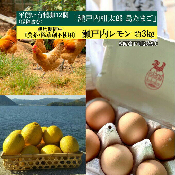 【ふるさと納税】レモン 卵 平飼い有精卵 「島たまご」 10
