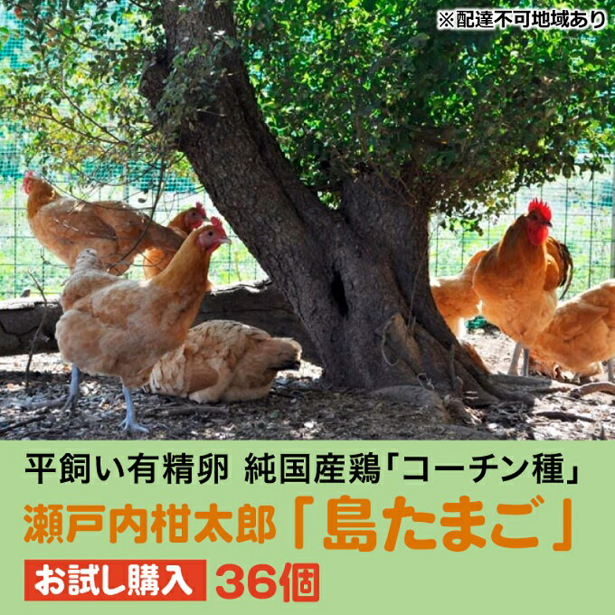 【ふるさと納税】お試し 瀬戸内柑太郎 島たまご 有精卵 36