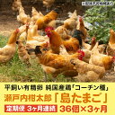 【ふるさと納税】3ヶ月 定期便 瀬戸内柑太郎 島たまご 有精卵 36個(34個＋割れ補償2個) 平飼い 純国産鶏 コーチン種 卵 たまご 佐木島 三原 広島 3回 【定期便 平飼い卵 臭みがない 】 お届け：2023年12月1日以降～