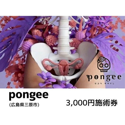 チケット 広島 pongee 美容整骨 施術券 3,000円分 フェムケア 矯正 骨盤矯正 美容 サロン 3000円 広島県 三原市　【三原市】