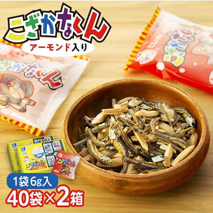 ڤդ뤵Ǽǡۤʤʥˡ16g40 2Ȣ | 240g2Ȣ ɥեå  륷 ...