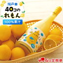 18位! 口コミ数「0件」評価「0」【定期便】＜尾道市瀬戸田町産＞40コのれもん2本（2ヵ月毎 計6回発送） | 広島県尾道市 広島県 尾道市 広島 尾道 支援 レモン れもん･･･ 