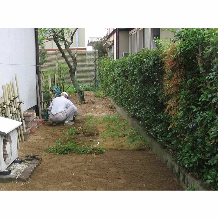 【ふるさと納税】空家等の除草　Aプラン | 代行 空家 清掃 除草