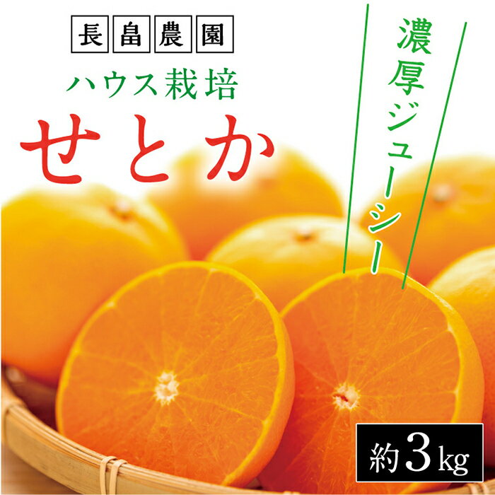【ふるさと納税】濃厚・ジューシー！ハウス栽培せとか　約3kg　化粧箱入り　＜2024年2月下旬より発送開始＞ | 広島県尾道市 広島県 尾道市 広島 尾道 みかん せとか フルーツ 果物 青果 柑橘 お取り寄せのサムネイル