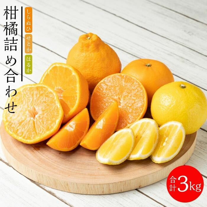 【ふるさと納税】お試し！お得な柑橘詰め合わせ（約3kg）2024年3月上旬〜発送予定　フルーツ　お取り寄せ　産地直送　もりの農園 | 送料無料 人気 おすすめ 瀬戸内 広島県 尾道市のサムネイル