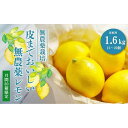 2位! 口コミ数「12件」評価「4.42」【30箱限定】皮まで美味しい無農薬レモン 家庭用 1.6kg | 瀬戸田 瀬戸田レモン 檸檬 フルーツ 柑橘 シトラス 無農薬 有機肥料 防･･･ 