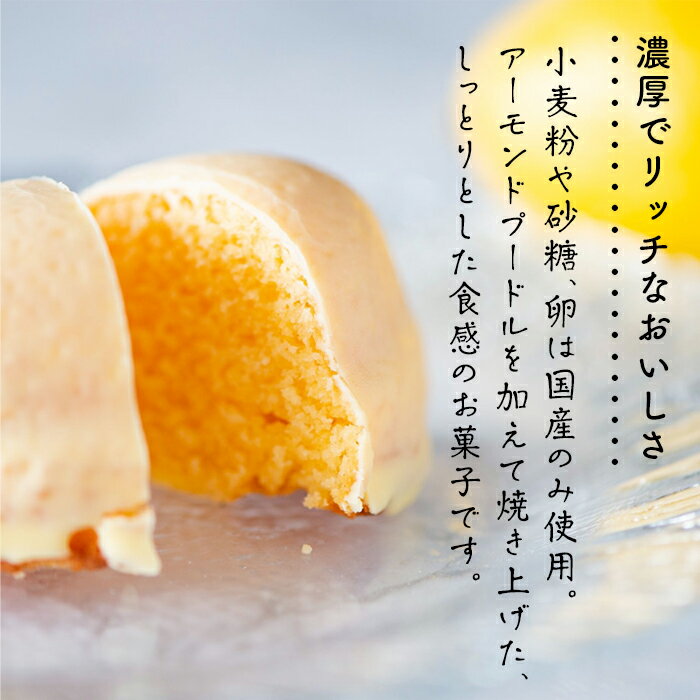 【ふるさと納税】レモンケーキ 8個入り | 檸檬 柑橘 お菓子 おかし 洋菓子 果物 くだもの 果汁 フルーツ 国産 デザート スイーツ お取り寄せ グルメ ギフト 人気 おすすめ ご当地 広島県 尾道市 f342050-onomichi-10001648 広島県尾道市 サンプル画像2