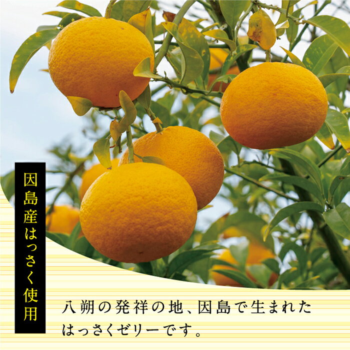 【ふるさと納税】因島のはっさくゼリー72個入り | 八朔 柑橘 みかん ゼリー シャーベット デザート おやつ 広島の 給食 はっさく JA 広島 尾道