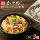 【ふるさと納税】レンジで簡単調理 かきめし【6個入】