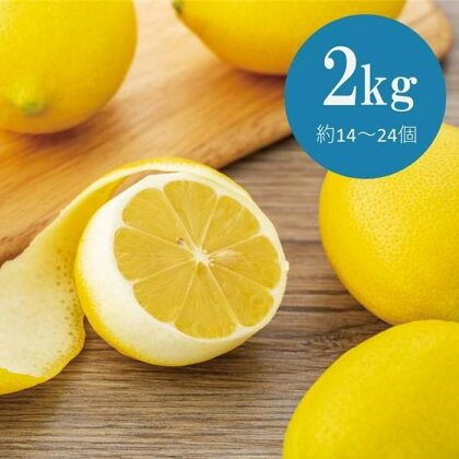 【30限定】皮まで美味しい無農薬レモン　2kg