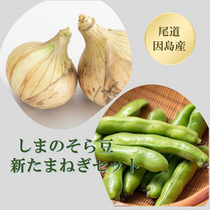 【先行予約】しまのそら豆と新たまねぎセット | 瀬戸内 因島 無農薬 尾道 尾道市 広島