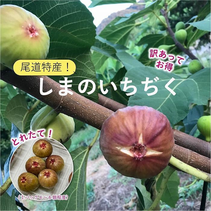 [先行予約][9月より配送][尾道特産・秋の味覚!しまのいちぢく(訳あり品)]瀬戸内・因島の蓬莱柿(ほうらいし)320g程度×5パック | フルーツ 果物 くだもの 食品 人気 おすすめ 送料無料