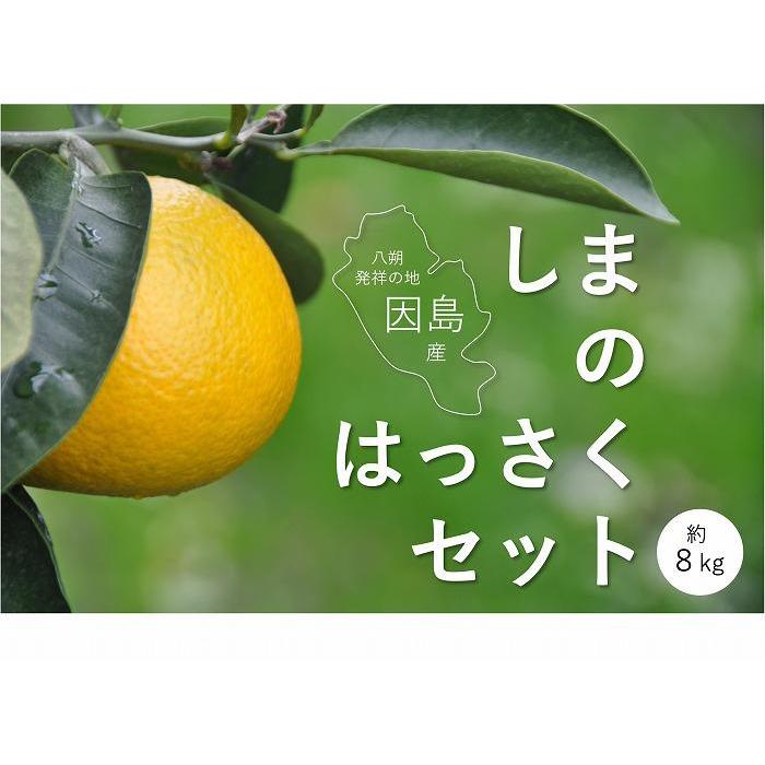 【ふるさと納税】【瀬戸内・因島産】しまの八朔セット約8kg（Mサイズ程度　約30個　紅八朔と八朔） | フルーツ 果物 くだもの 食品 人気 おすすめ 送料無料･･･