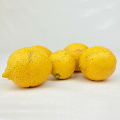 【有機JAS認証】レモン島からお贈りするオーガニックレモン 3kg 有機レモン 産直 国産 有機栽培 | フルーツ 果物 くだもの 食品 人気 おすすめ 送料無料