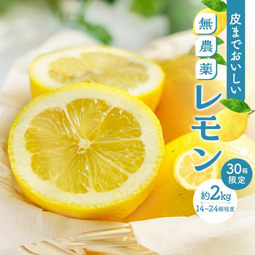 【ふるさと納税】皮まで美味しい無農薬レモン 約2kg | 瀬戸田 瀬戸田レモン 檸檬 瀬戸内レモン フルーツ 柑橘 シトラス 無農薬 有機肥料 防腐剤不使用 レ...