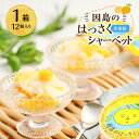 【ふるさと納税】因島のはっさくシャーベット(未凍結)(75g×12個) | ひろしま銘菓 スウィーツ 菓子 贈り物 土産 送料無料 広島県 尾道市