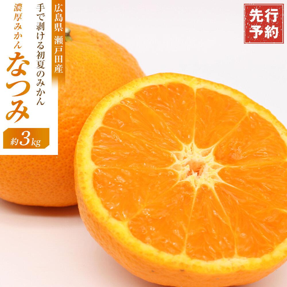 ☆先行 予約 濃厚すぎるほど濃いみかん 手で剥ける初夏のみかん なつみ 3kg[2026年4月上旬より発送開始]
