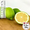 【ふるさと納税】レモン島から贈る安心の国産グリーンレモン 選べる!! 2.5kg~10kg |10月中旬~発送予定 | 柑橘 果物 フルーツ人気 おすすめ 瀬戸内 広島県 尾道市