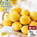 【ふるさと納税】レモン島から贈る安心の国産レモン選べる!! 3kg~10kg | 1月15日より順次発送 | 瀬戸田 瀬戸田レモン 産地直送 送料無料 フルーツ 檸檬 ノーワックス 防腐剤 防かび剤不使用