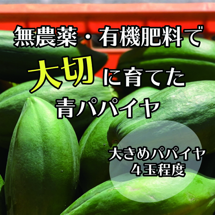 【ふるさと納税】無農薬・有機肥料で大切に育てた 青パパイヤ【大きめパパイヤ4玉程度】
